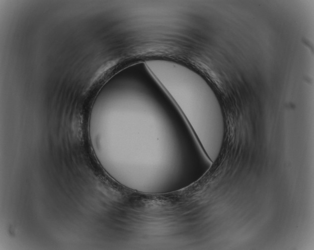 X0000092240400200709141007