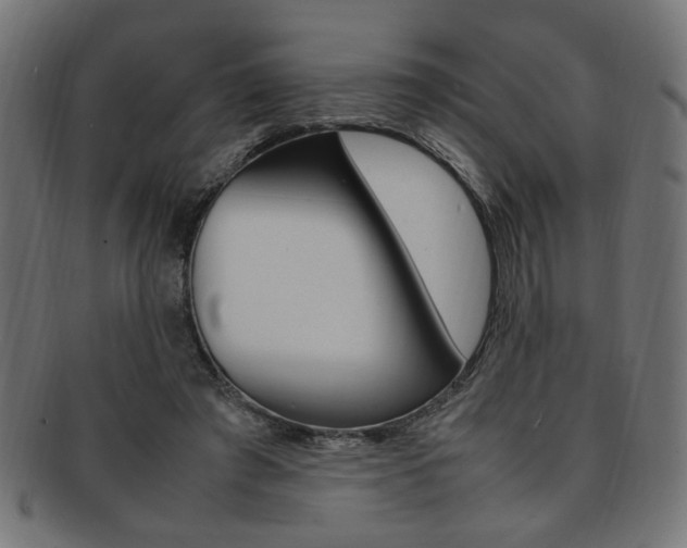 X0000092240401200709141007