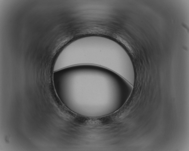 X0000092240403200709141007