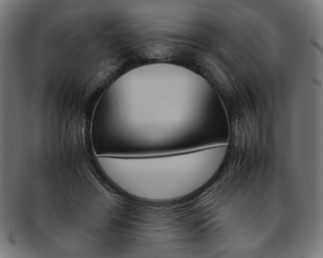 X0000092240404200709141007