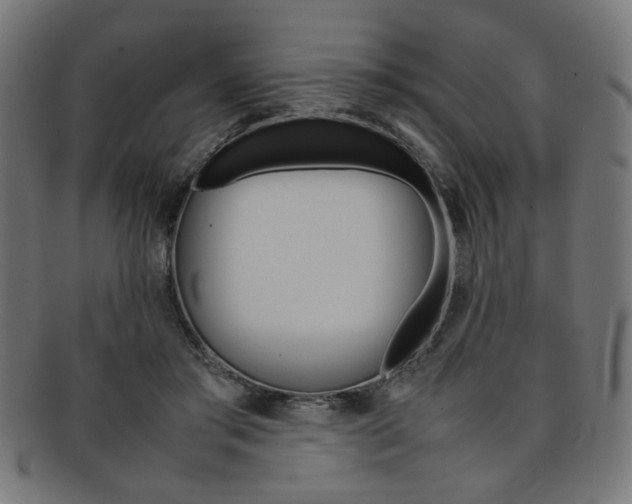 X0000092240405200709141007
