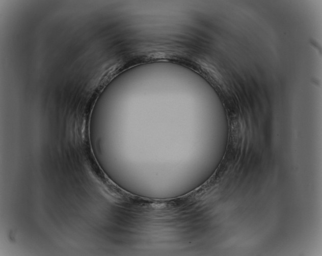 X0000092240406200709141007