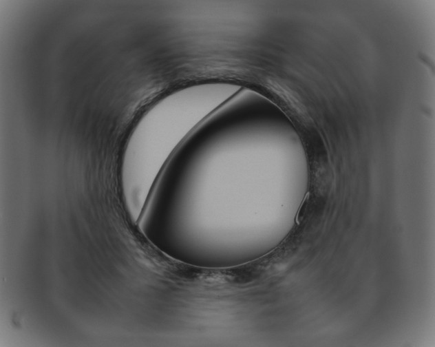 X0000092240407200709141007