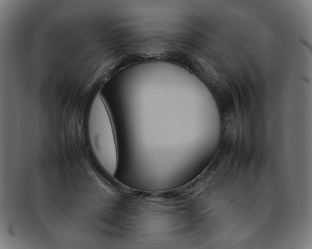 X0000092240408200709141007