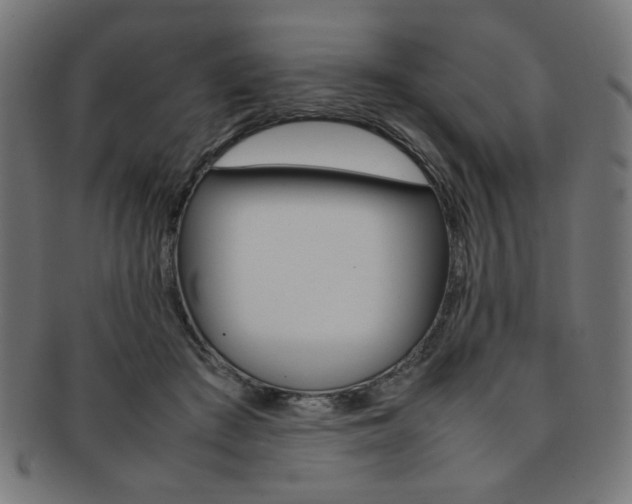 X0000092240409200709141007