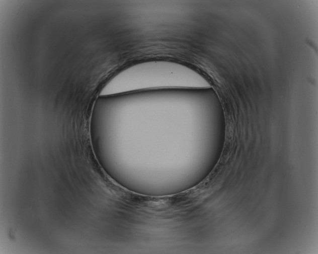 X0000092240411200709141007