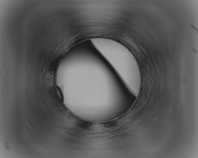 X0000092240413200709141007