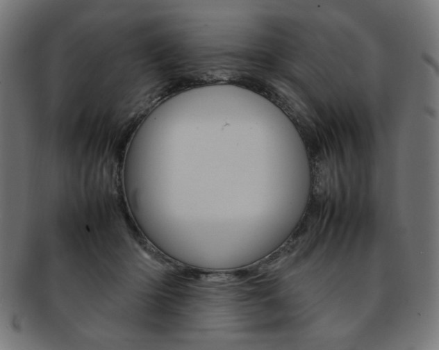 X0000092240414200709141007