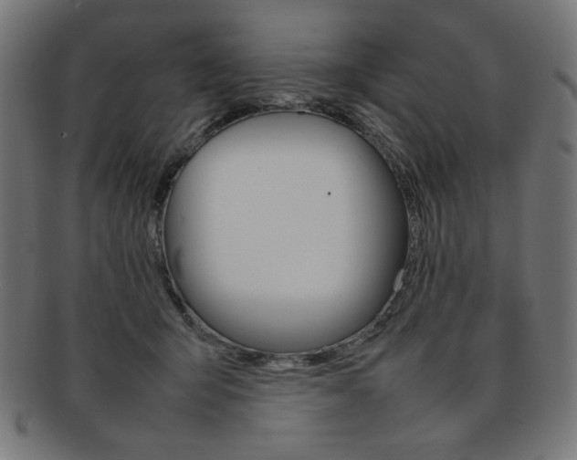 X0000092240415200709141007
