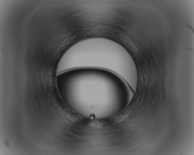 X0000092240416200709141007
