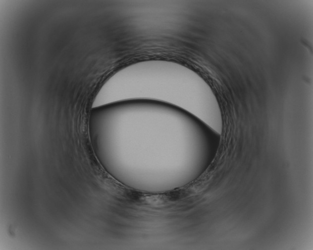 X0000092240417200709141007