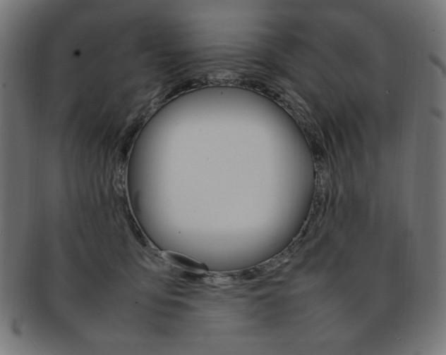 X0000092240419200709141007