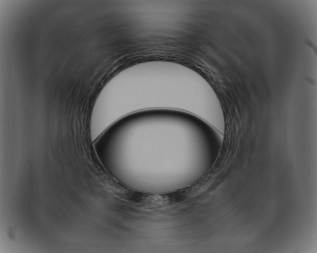 X0000092240421200709141007