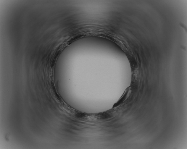 X0000092240423200709141007