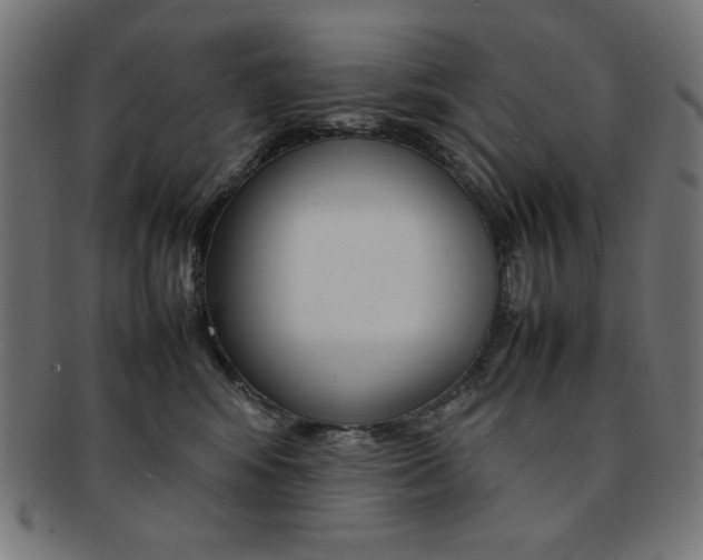 X0000092240424200709141007