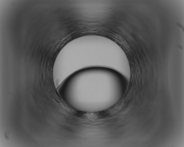 X0000092240425200709141007