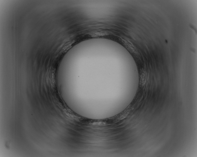 X0000092240426200709141007