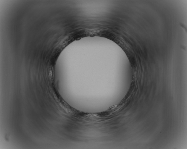 X0000092240427200709141007