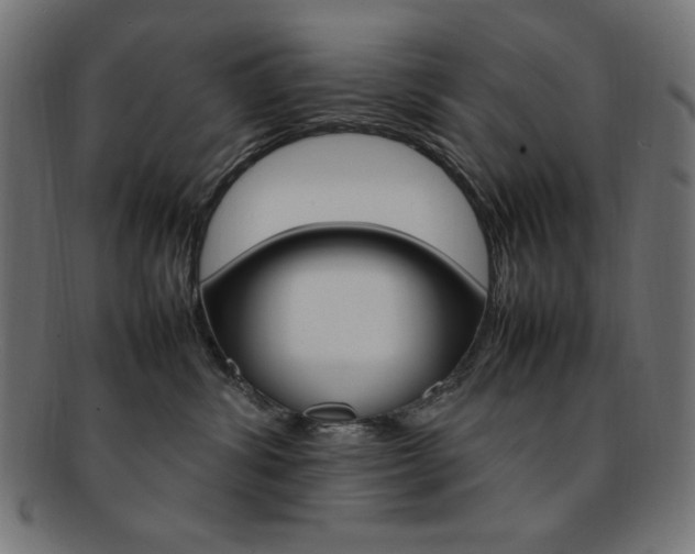 X0000092240428200709141007