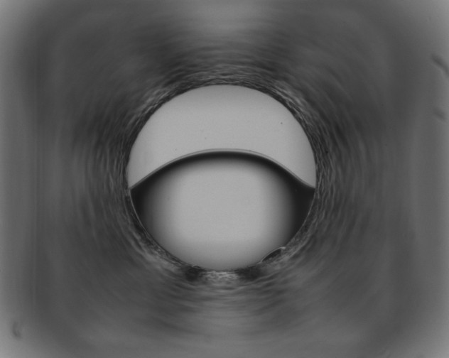 X0000092240429200709141007