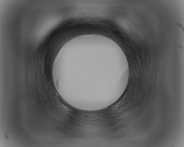X0000092240431200709141007