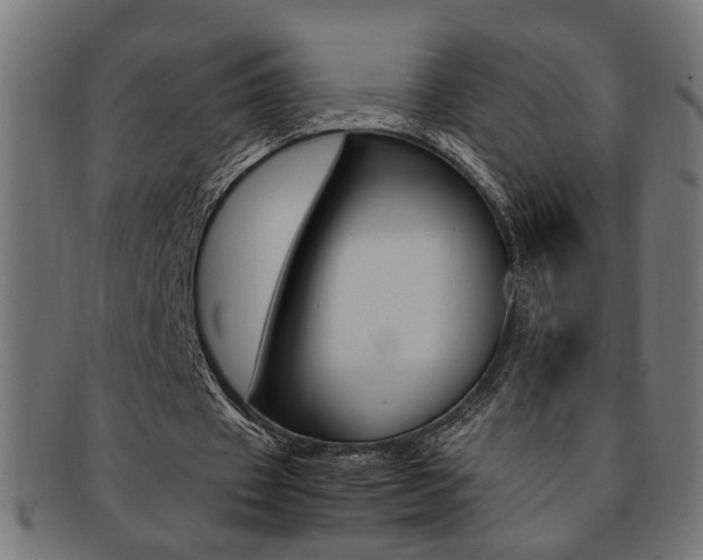 X0000092240433200709141007