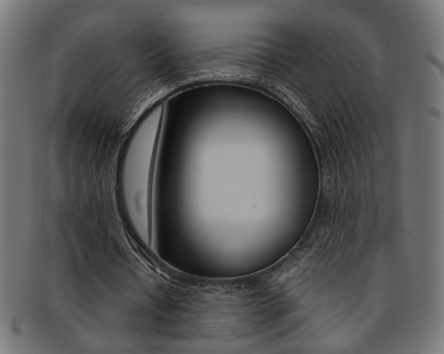 X0000092240434200709141007