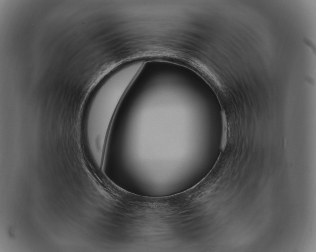 X0000092240436200709141007