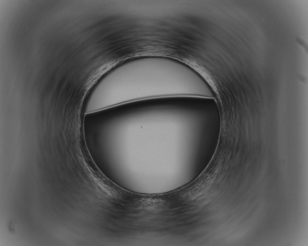 X0000092240437200709141007