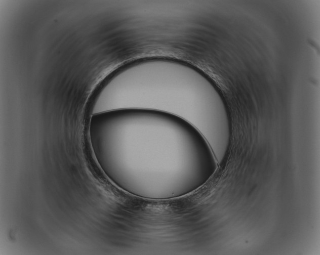 X0000092240440200709141007