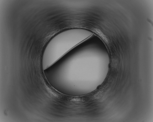 X0000092240441200709141007