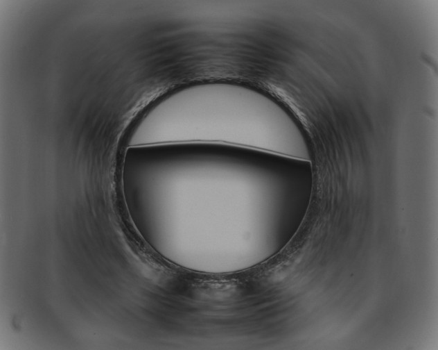 X0000092240443200709141007