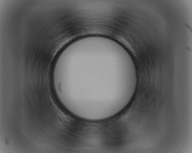 X0000092240444200709141007