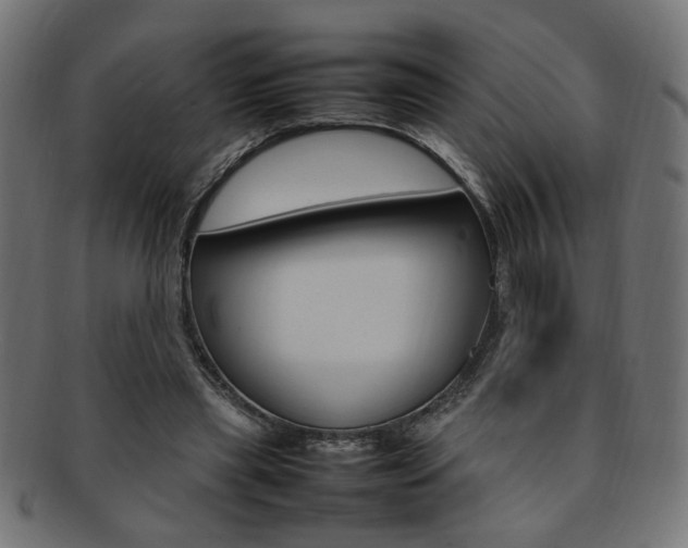 X0000092240445200709141007