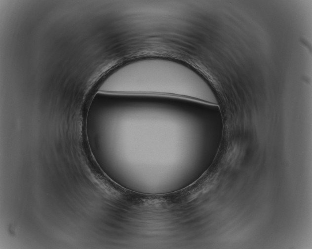 X0000092240446200709141007