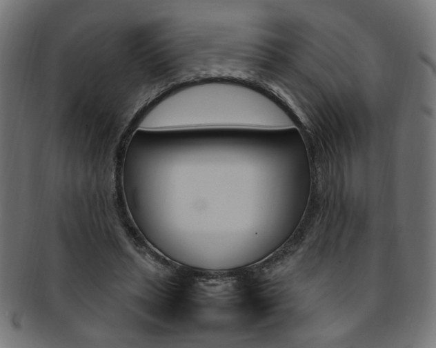 X0000092240447200709141007