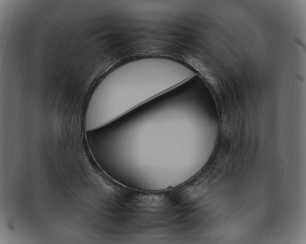 X0000092240449200709141007