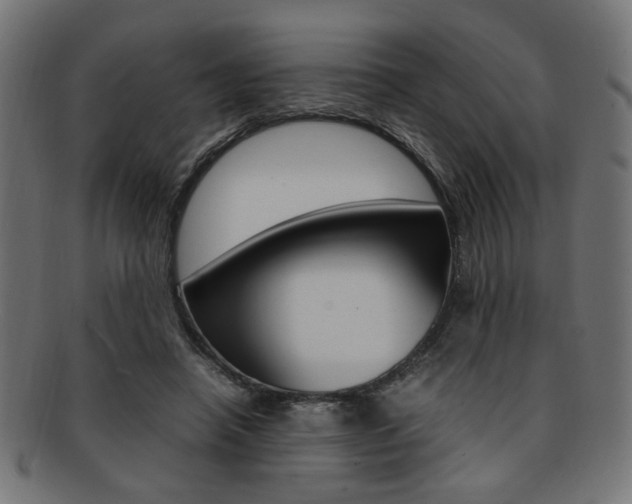 X0000092240450200709141007
