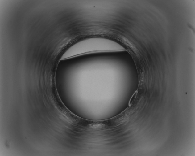 X0000092240452200709141007