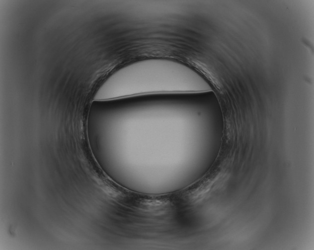 X0000092240453200709141007