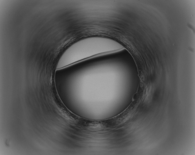 X0000092240454200709141007