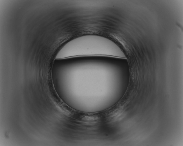 X0000092240455200709141007