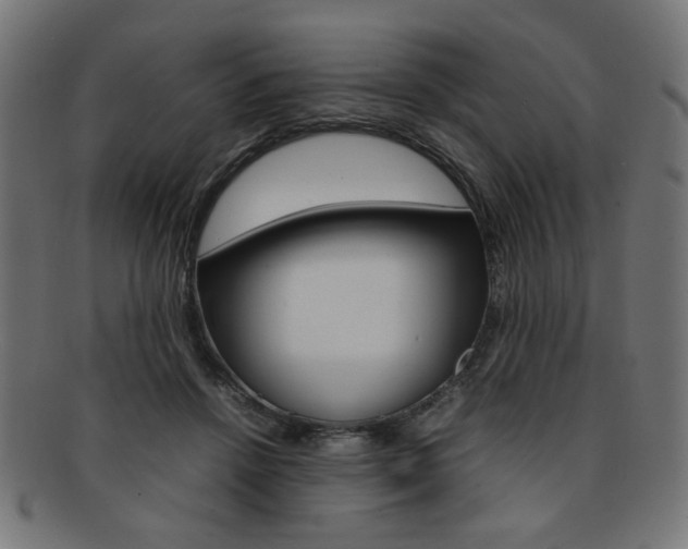 X0000092240456200709141007