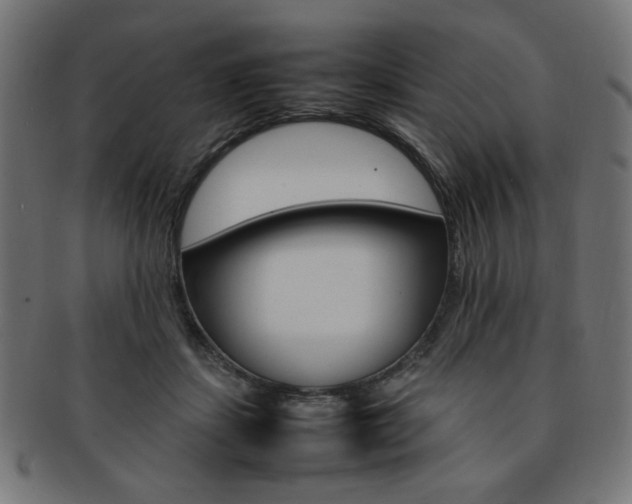 X0000092240459200709141007