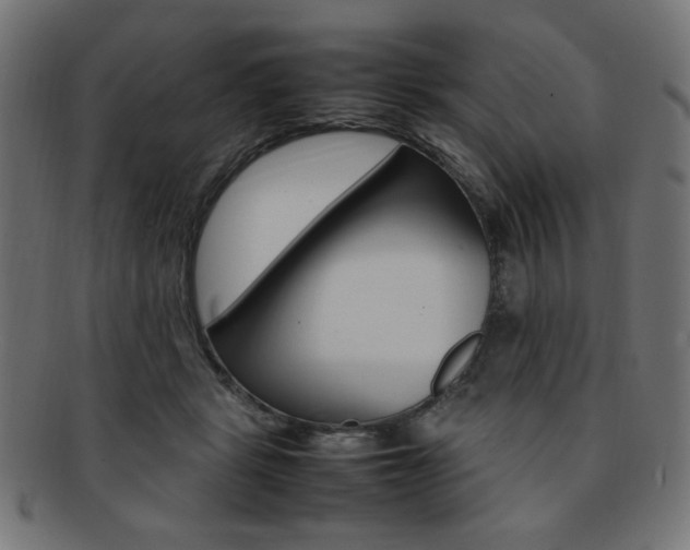X0000092240461200709141007