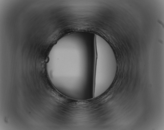 X0000092240462200709141007