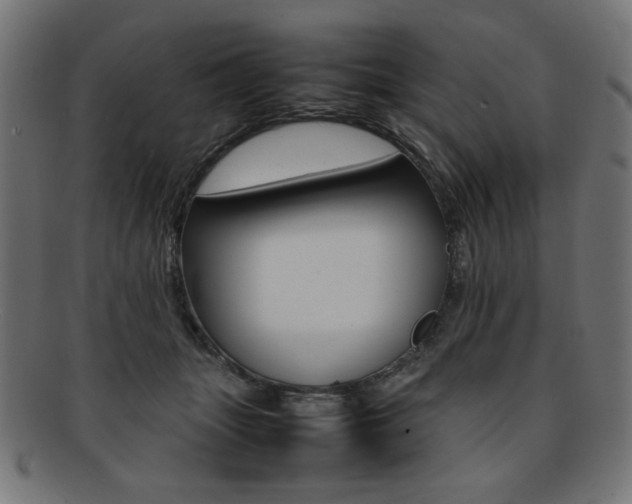X0000092240463200709141007