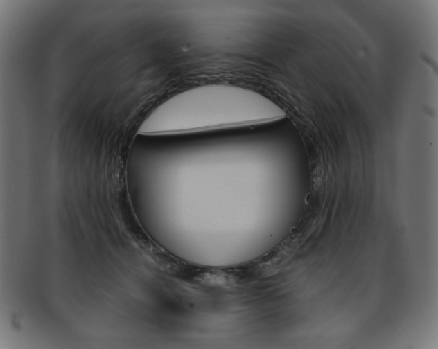 X0000092240464200709141007