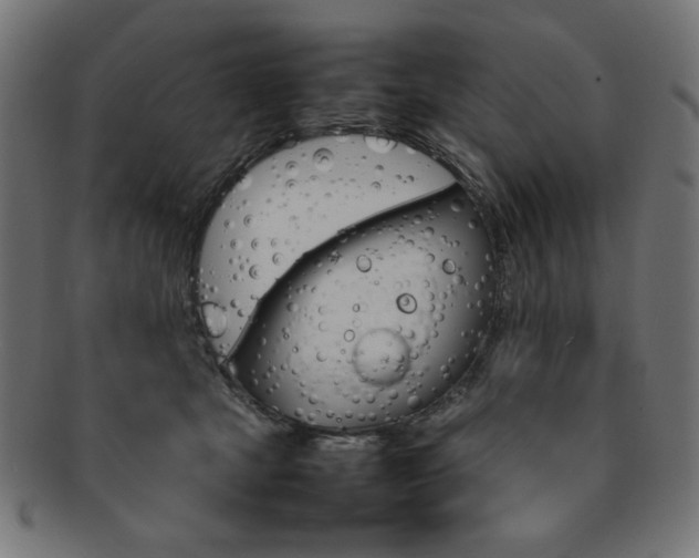 X0000092240465200709141007