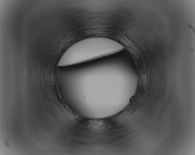 X0000092240469200709141007